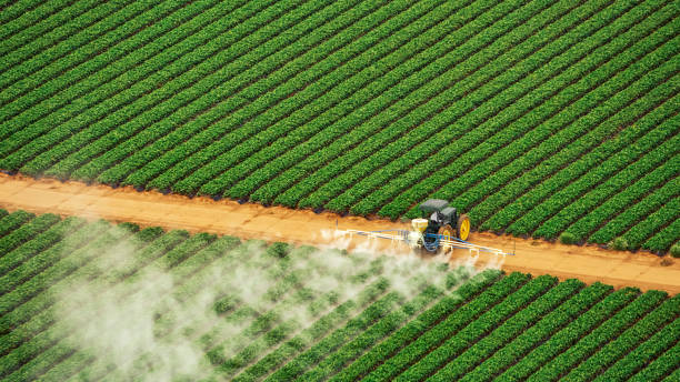 Best Best Pest Control Companies  in Northwest Harwinton, CT